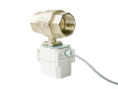 Кран с электроприводом PROFESSIONAL 220V ENOLGAS 2” — фото, характеристики, купить в NOVOCHERKASSK-CLIMBO