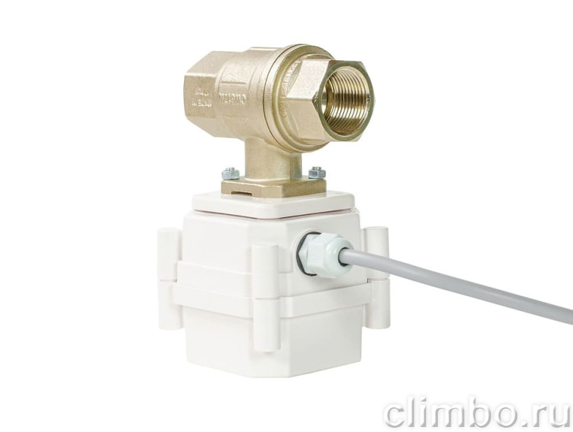 Кран с электроприводом ULTIMATE 220V BONOMI 1” — фото товара